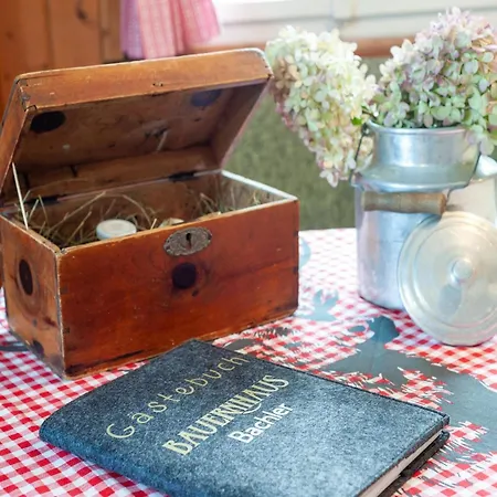 Rustic With Sauna In Bramberg Holiday home Neukirchen am Grossvenediger